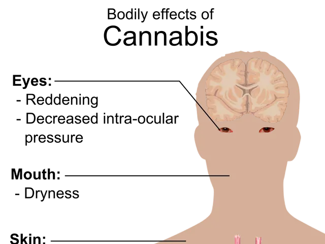The image shows a diagram of a human body with the words "bodyly effects of cannabis" written on...