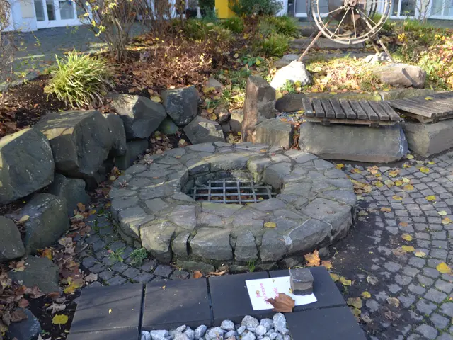 The image shows a fire pit in the middle of a garden surrounded by rocks, plants, trees, and a...