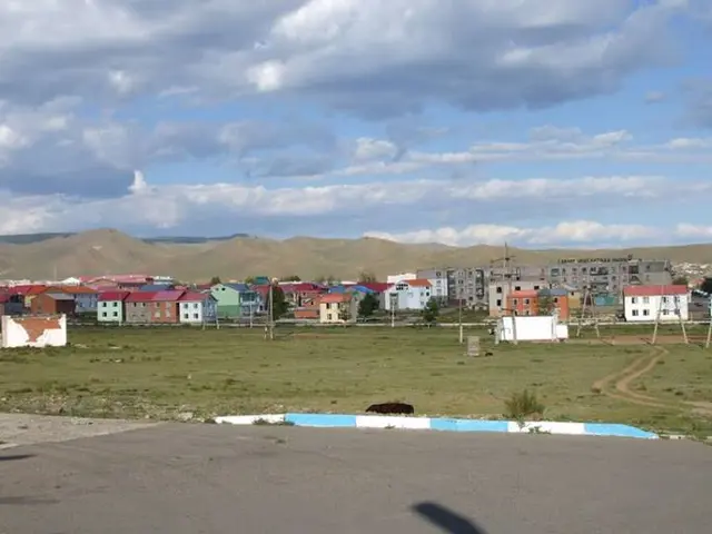 The image shows a cow grazing on the side of a road next to a small town, surrounded by grass,...