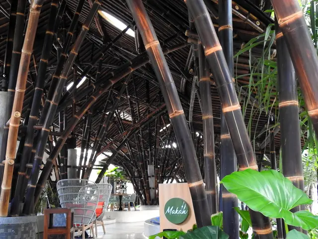 The image shows a large bamboo structure in the middle of a room, surrounded by chairs, tables, and...