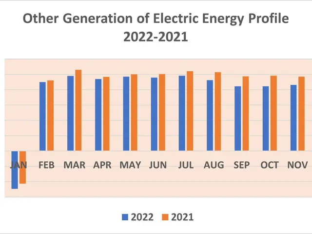 The image shows a graph depicting the other generation of electric energy profile from 2022 to...