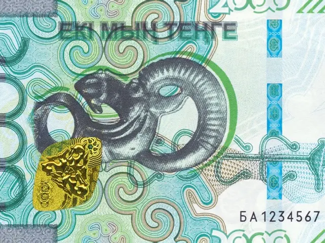 The image shows a 2000 Turkish Lira banknote with a picture of an octopus on it.