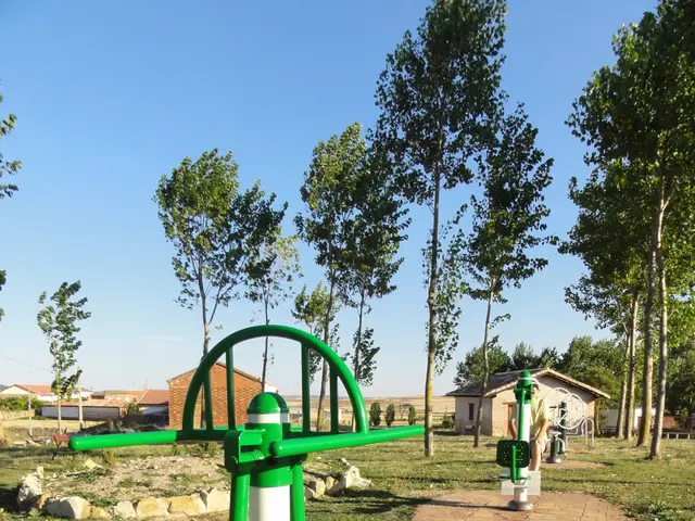 The image shows a green and white playground equipment in the middle of a park surrounded by trees,...