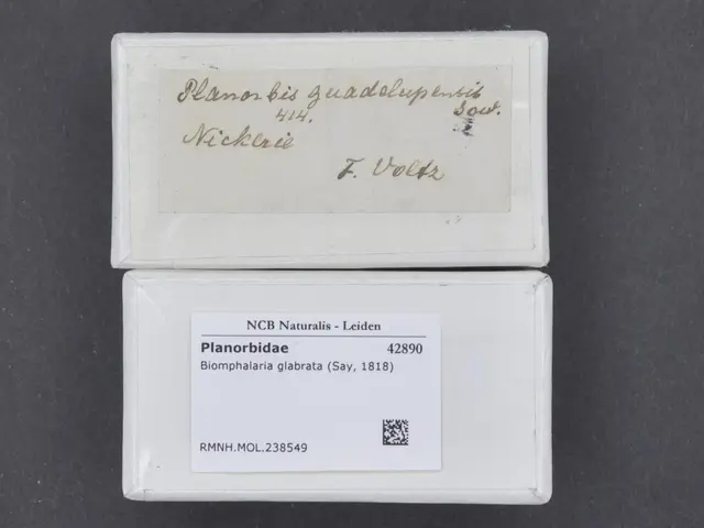 The image shows a pair of white business cards sitting on top of each other on a black surface. The...