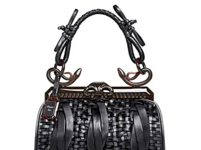 This picture shows a woman handbag