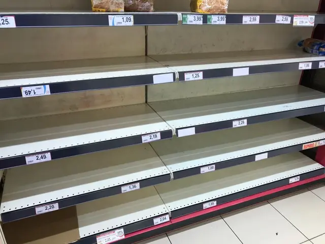 The image shows empty shelves in a supermarket with no food on them. The shelves are lined up in a...