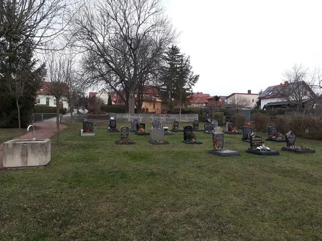 The image shows a cemetery with many tombstones in the middle of it, surrounded by grass and trees....