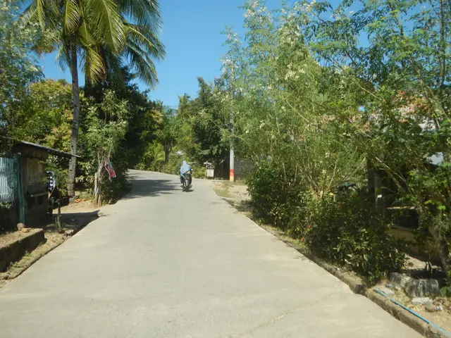 The image shows a person riding a motorcycle down a street lined with trees and plants, with a shed...