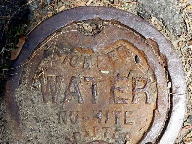 The image shows a manhole cover on the ground with the word "water" written on it, surrounded by...