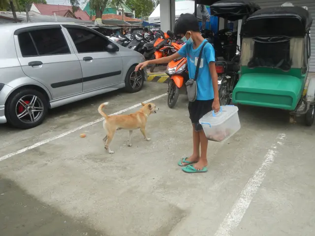 The image shows a man standing in a parking lot next to a dog. He is wearing a blue t-shirt, black...