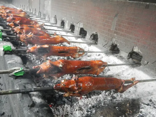 The image shows pigs roasting on skewers over a fire, with a wall in the background. The pigs are...