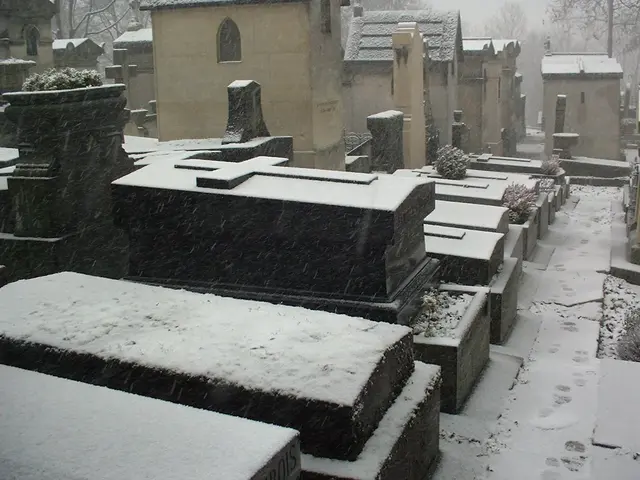 The image shows a cemetery covered in snow with a few buildings and trees in the background. The...