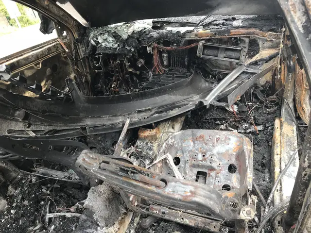 The image shows the interior of a car that has been completely destroyed by a fire, with trees in...