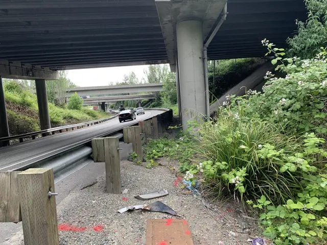 The image shows a car driving under a bridge with debris on the side of it. There are plants and...