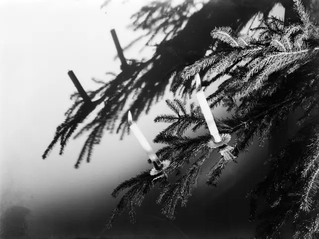 The image shows a black and white photo of a Christmas tree with three candles hanging from its...