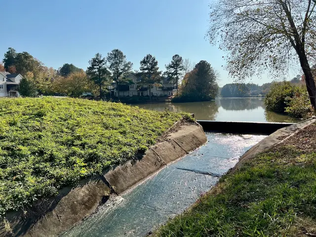 The image shows a small stream running through a lush green field next to a body of water, with...