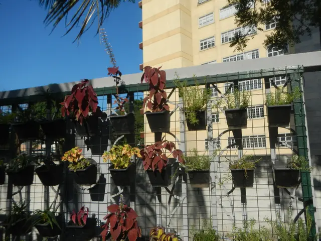 The image shows a vertical garden on the side of a building, with a metal fence surrounding it....