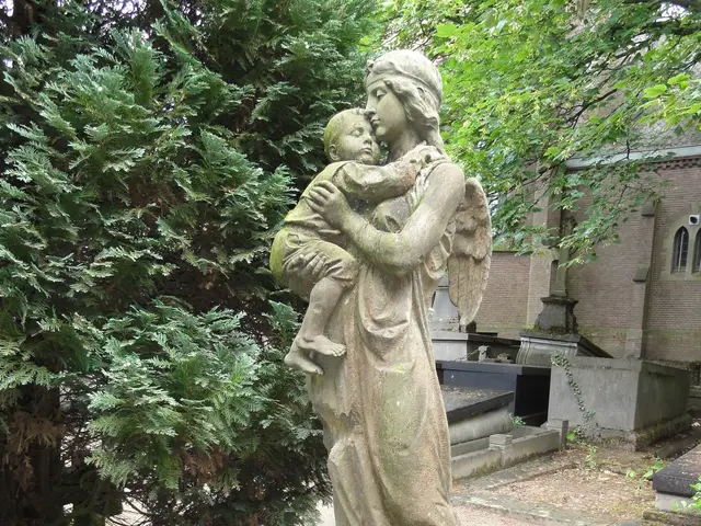The image shows a statue of an angel holding a baby in a cemetery, surrounded by trees and a...