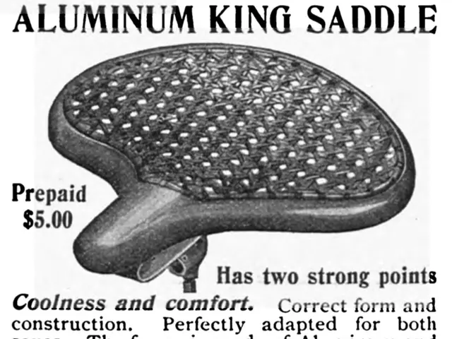 The image shows an advertisement for the Chicago Tip & Tire Co. Aluminum King Saddle, featuring a...