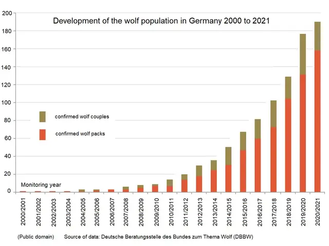 The image shows a graph depicting the development of the wolf population in Germany from 2000 to...