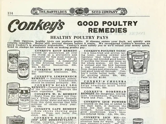 The image shows an old advertisement for Conkey's Good Poultry Remedies, featuring a paper with...