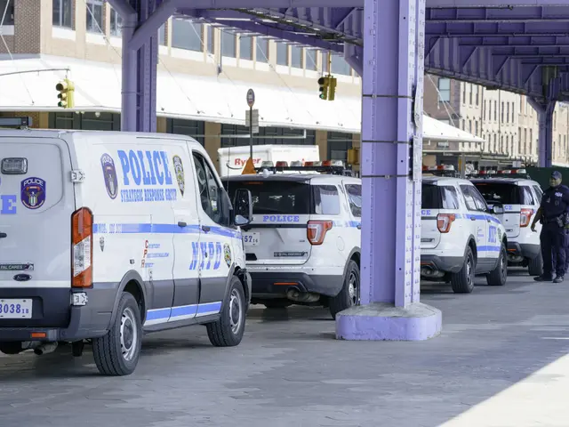 The image shows a group of police cars parked on the side of a street, with a person standing on...