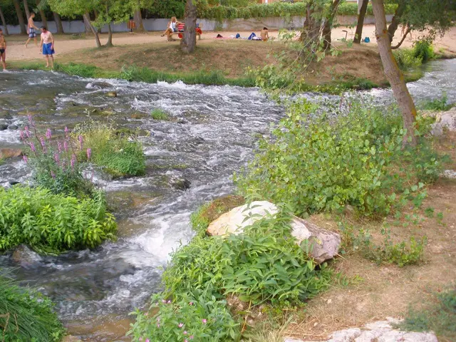 The image shows a group of people standing next to a river in a park. The river is surrounded by...