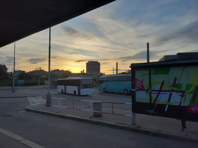 The image shows two buses parked at a bus stop with graffiti on the side of it. We can see the...