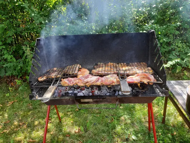 The image shows a barbecue grill with meat cooking on it in the grass, surrounded by trees in the...