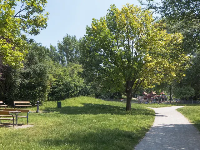 The image shows a park with a path winding through it, surrounded by lush green grass and trees. On...