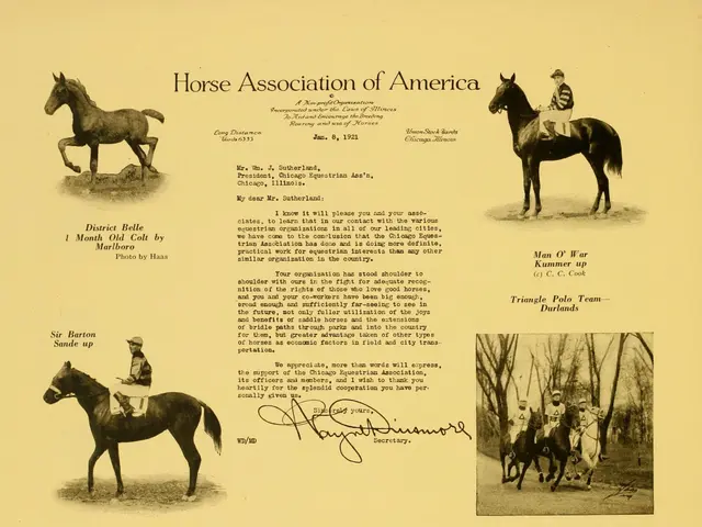 The image shows a paper with pictures of horses and people riding them, accompanied by text that...