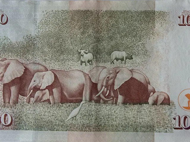 The image shows a Kenyan 1000 Naira banknote with a picture of elephants and a bird on it. The note...