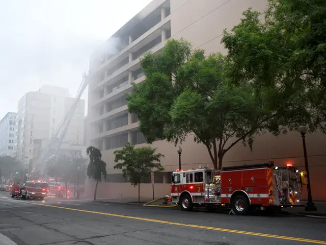 The image shows a group of fire trucks parked on the side of a street, surrounded by trees, light...