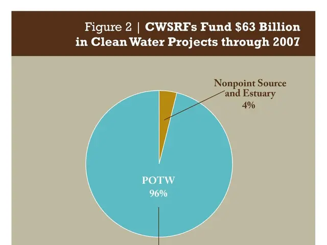 The image shows a poster with a pie chart depicting the amount of clean water projects funded...