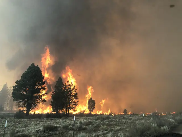 The image shows a large fire burning in the middle of a field, with smoke billowing up into the...