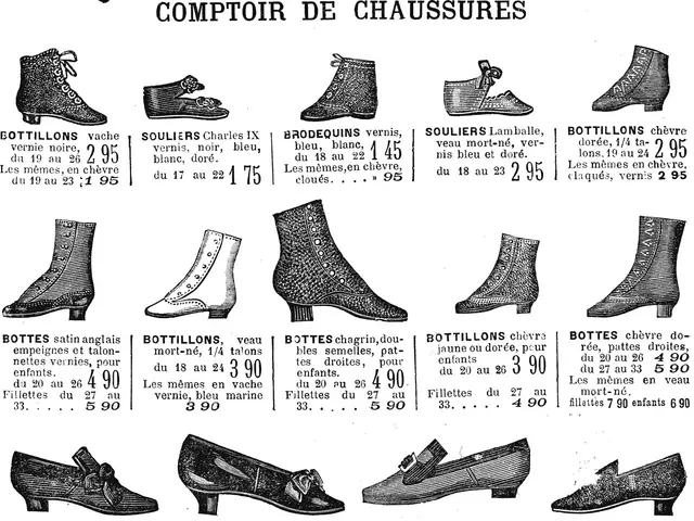 The image shows a page from a book with a variety of women's shoes, each with a unique design and...
