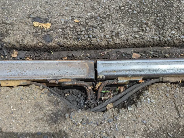 The image shows a close up of a metal pipe on the side of a road, with a few wires and dry leaves...