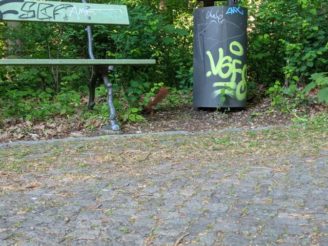 The image shows a park bench sitting next to a trash can with graffiti on it, surrounded by trees...